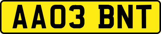 AA03BNT