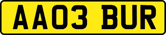 AA03BUR