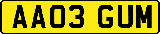 AA03GUM