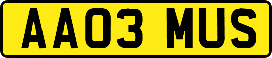 AA03MUS