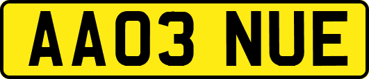 AA03NUE