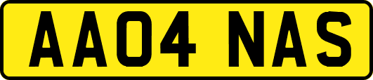 AA04NAS