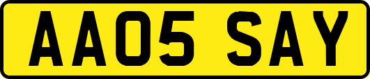 AA05SAY