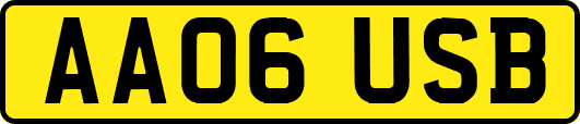AA06USB