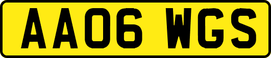 AA06WGS