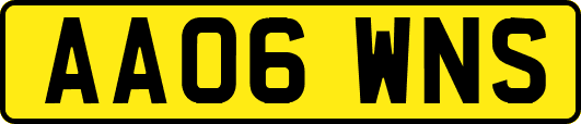 AA06WNS