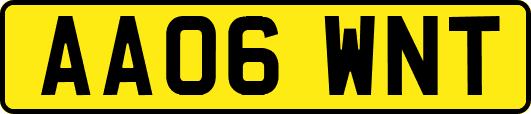 AA06WNT