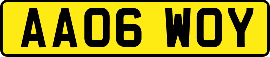 AA06WOY