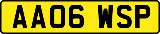 AA06WSP