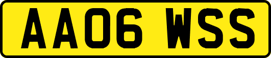 AA06WSS