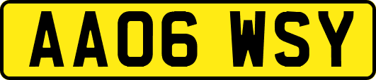 AA06WSY