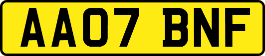 AA07BNF