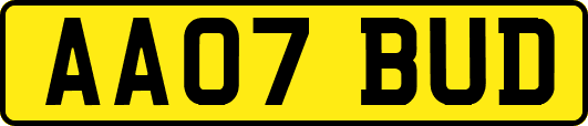 AA07BUD