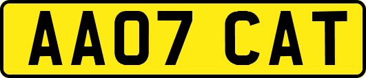 AA07CAT
