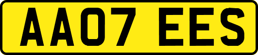 AA07EES