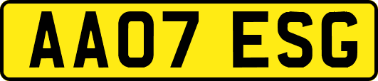 AA07ESG