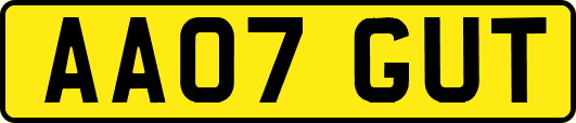 AA07GUT