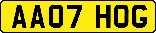 AA07HOG