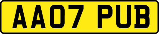 AA07PUB