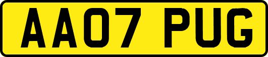 AA07PUG