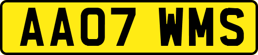AA07WMS