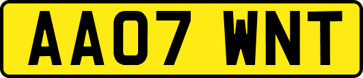 AA07WNT