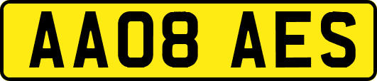 AA08AES