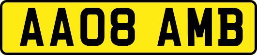 AA08AMB