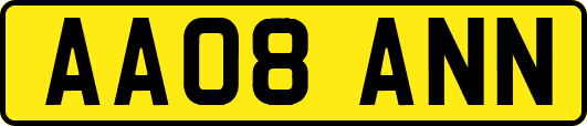 AA08ANN