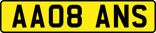 AA08ANS