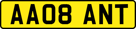 AA08ANT