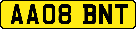 AA08BNT