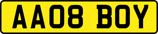 AA08BOY