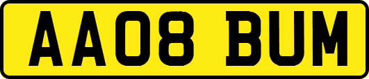 AA08BUM
