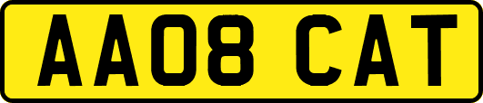 AA08CAT