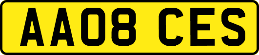 AA08CES