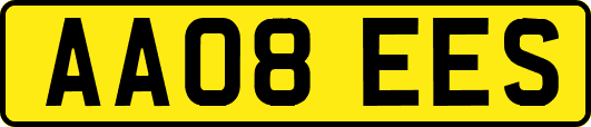 AA08EES