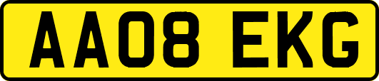 AA08EKG