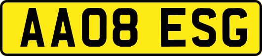 AA08ESG