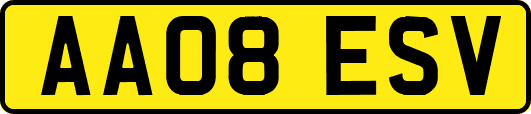AA08ESV