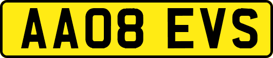 AA08EVS