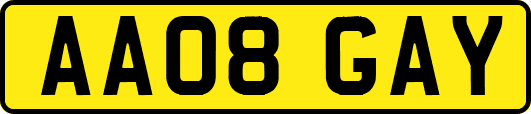 AA08GAY