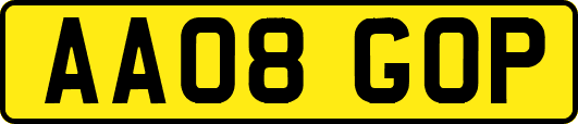 AA08GOP