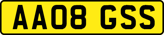 AA08GSS