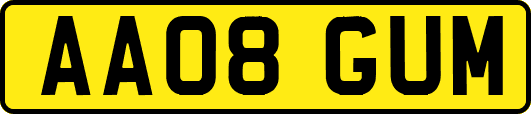AA08GUM