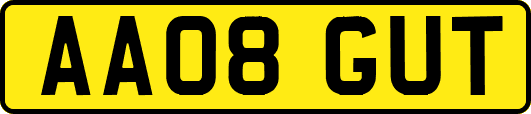 AA08GUT
