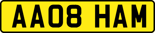 AA08HAM