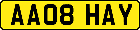AA08HAY