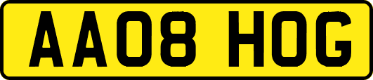 AA08HOG