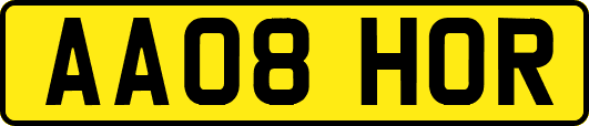 AA08HOR